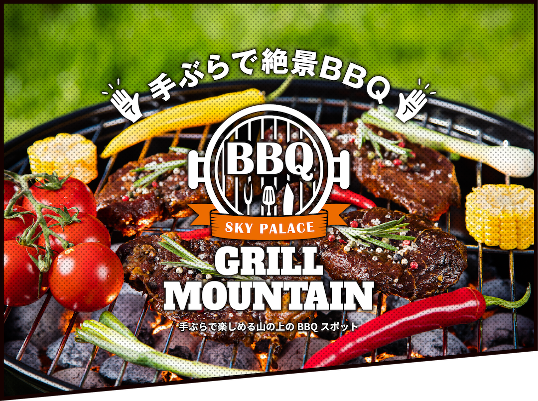 BBQ GRILL MOUNTAIN