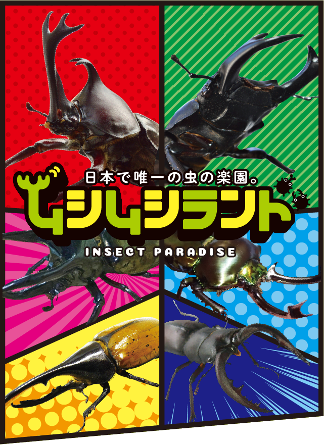 世界のカブクワ総選挙