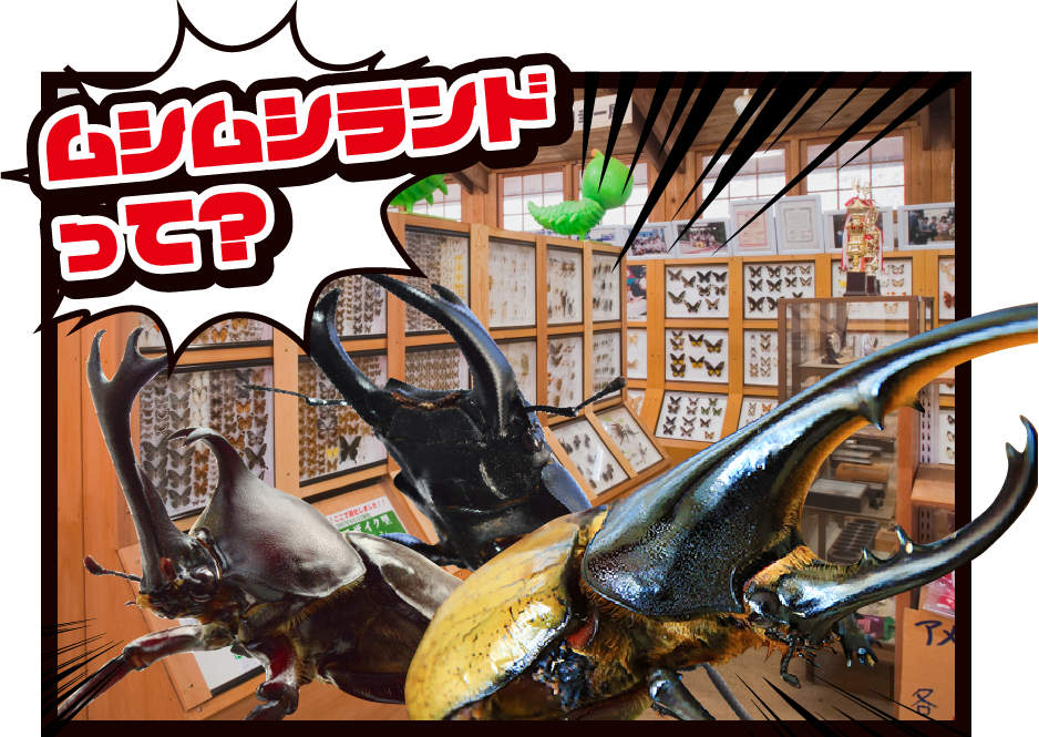 ムシムシランドって？